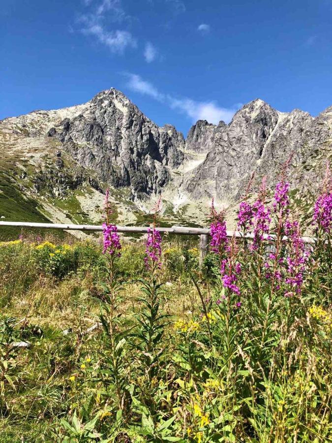 Apartman Lesnicek Stará Lesná Dış mekan fotoğraf